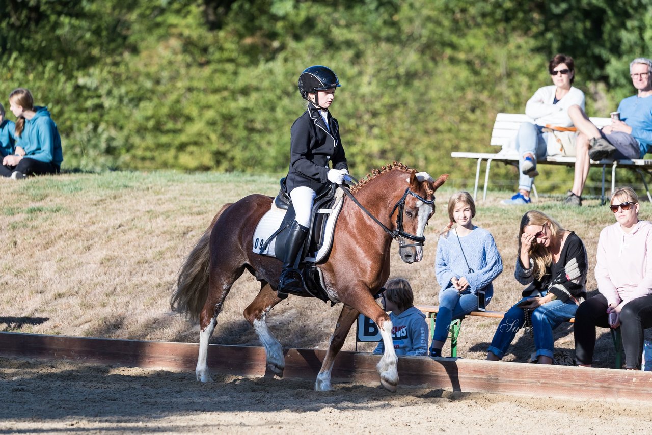 Bild 38 - Pony Akademie Turnier